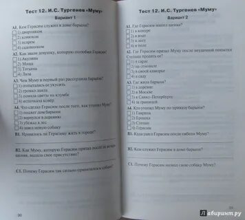 Литература пятый класс тест