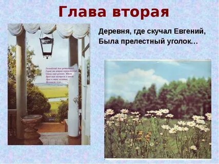 Чем развлекался онегин в деревне