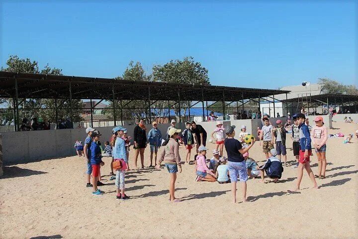 детский лагерь фламинго. лагерь фламинго темрюкский. детский лагерь фламинго темрюкский район. дсол фламинго темрюк. детский лагерь фламинго.