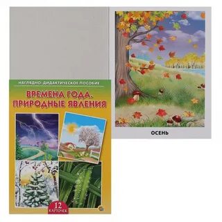 Учебное пособие времена года