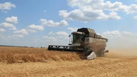 Уборочная кампания или компания