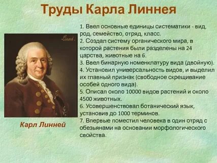 Развитие систематики ученые