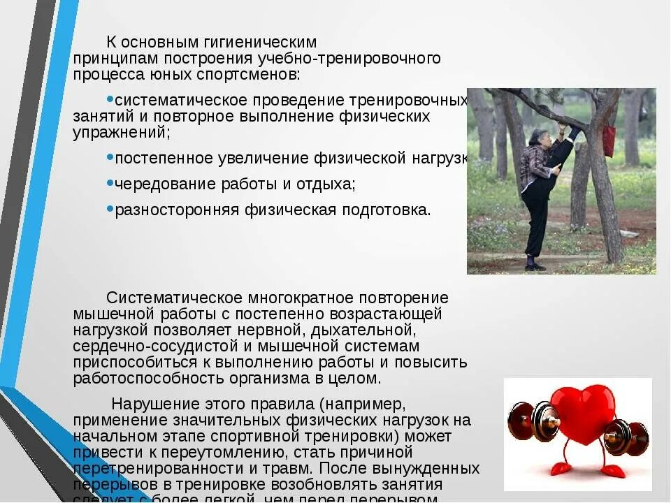 Учебно тренировочные занятия виды. Гигиенические принципы тренировочного процесса. принципы построения занятий физическими упражнениями. построение учебно-тренировочного занятия. методы построения тренировочных занятий.