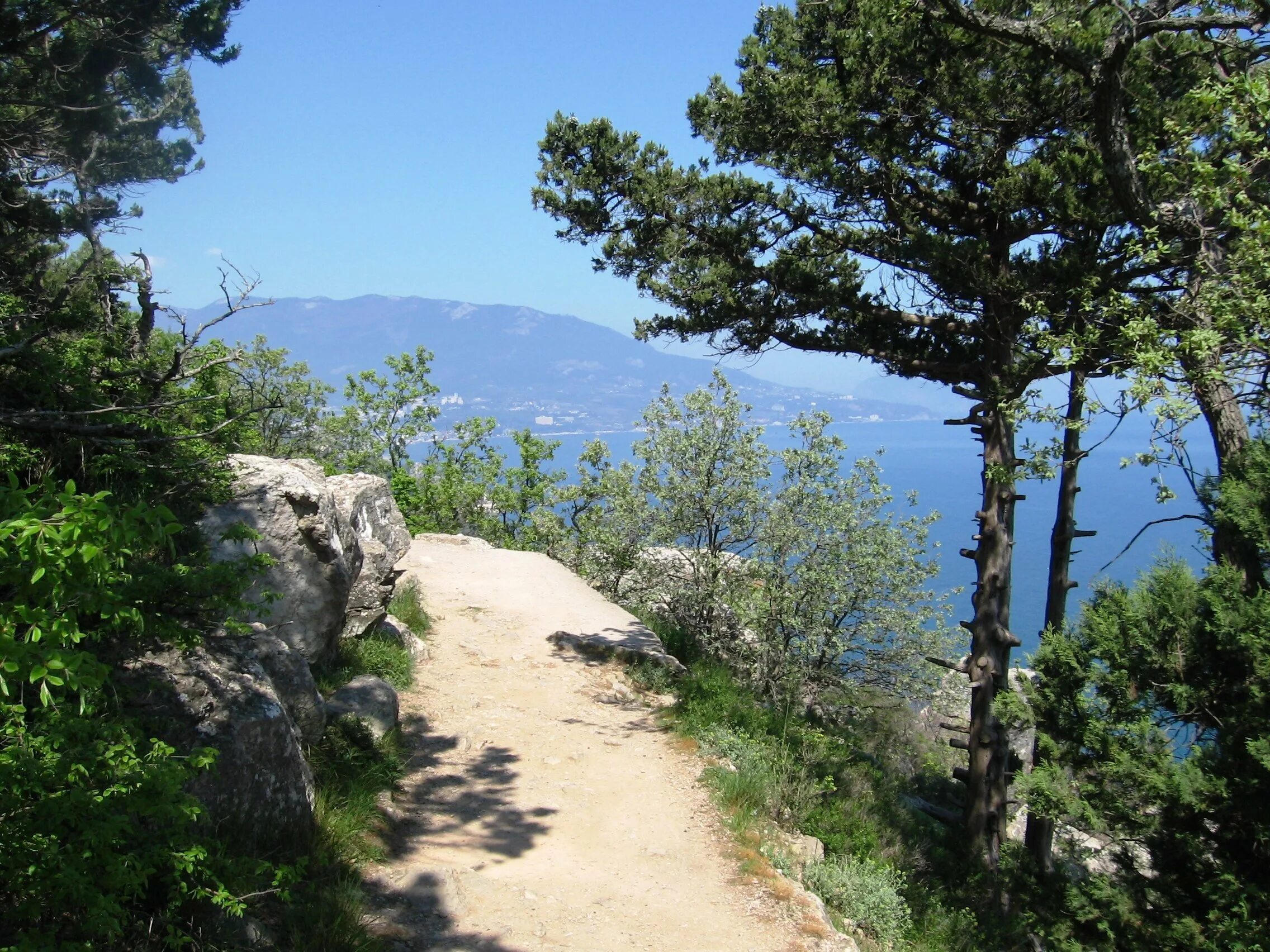 Царская солнечная тропа ялта. Солнечную тропу. Ливадийский дворец солнечная тропа. Ливадийский парк солнечная тропа. Ялта ливадия солнечная тропа.