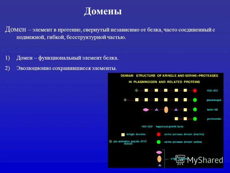 Элемента домен. Домены в белках. Функции доменов белков. Функции домена белка. Домен белка.