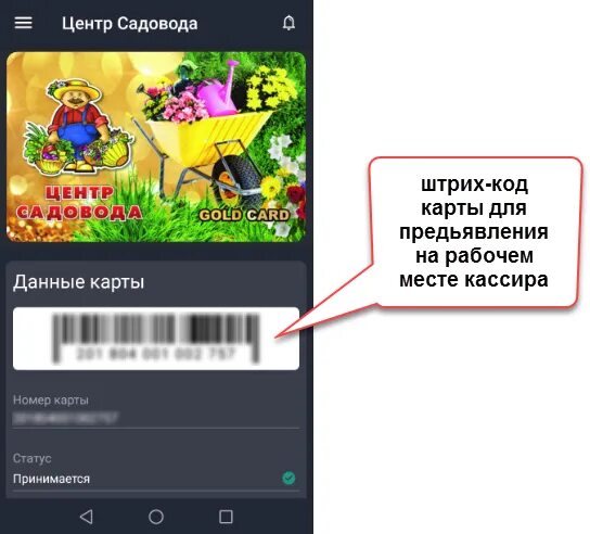 Выпустите виртуальную карту в приложении. Центр садовода дисконтная карта. виртуальная карта садовод. оформить карточку центр садовода. как выпустить карту линии в кошельке.