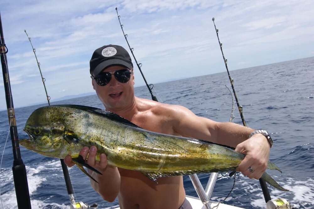 ловля троллингом. рыба троллинг. троллинговая рыбалка техника. дорадо маврикий. троллинговая ловля.