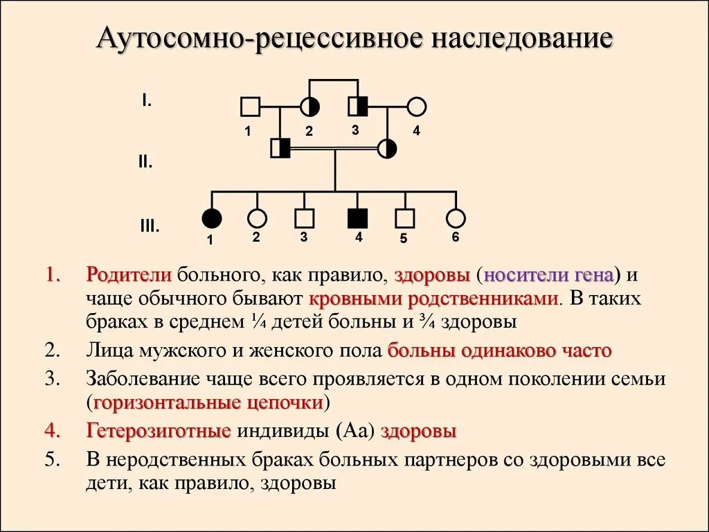 Аутосомный рецессивный Тип наследования родословная. Аутосомно-доминантный Тип наследования схема. Аутосомно-рецессивный Тип родословная. При аутосомно-доминантном типе наследования в родословной.