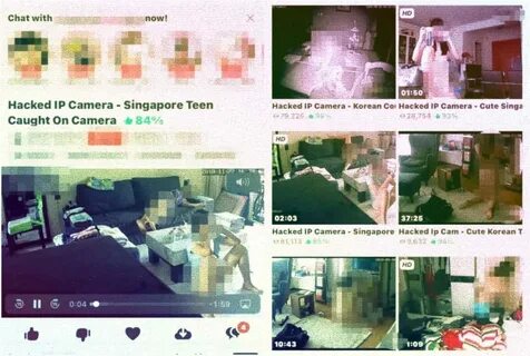 3TB of clips from exposed home security cameras posted online.
