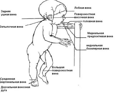 Дети из вен