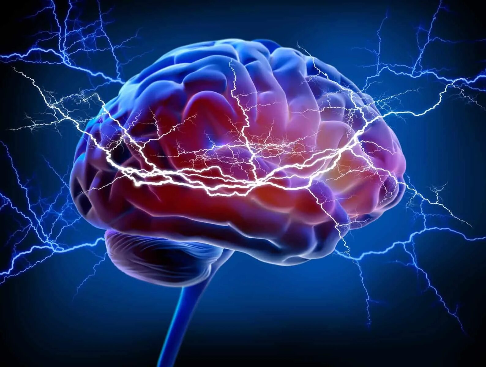 Электрическая активность мозга. Всплескам электрической активности мозга,. Когнитивная нейробиология. Мозг человек у которого. Электрическая активность головного мозга