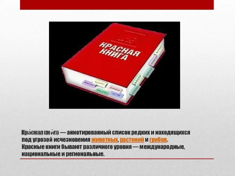 Ведение красных книг. Красная книга. Международная красная книга. Национальная красная книга. Красные книги различных уровней.