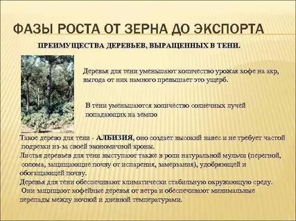 Дерево преимущества