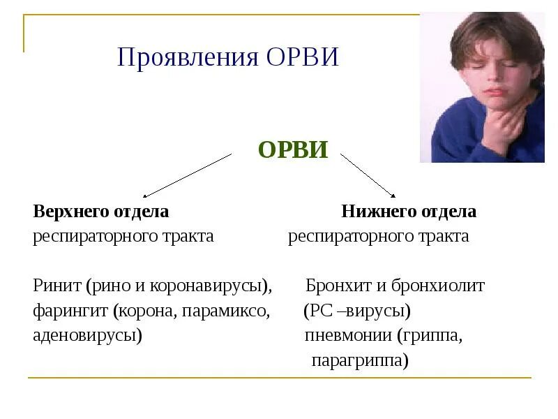 Орви действия. Проявление ОРВИ. Респираторные инфекции симптомы. ОРВИ симптомы. Симптоматика ОРВИ.