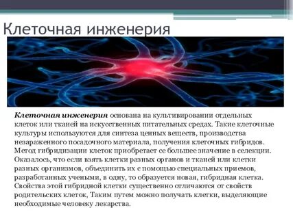 Отличие генной инженерии от клеточной
