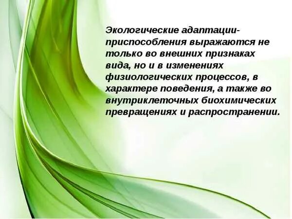 Экологические адаптации. Этнологическая адаптация примеры. Адаптация экология. Экологические адаптации примеры.