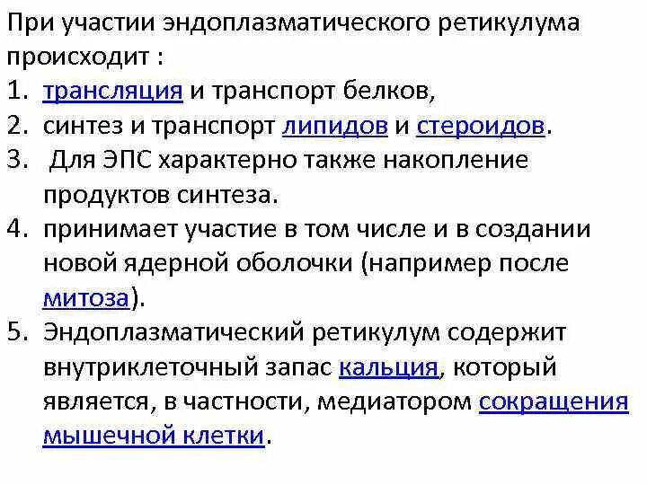 Эпс участвует в синтезе белков. Синтез и транспорт белков происходит в. Синтез и транспорт белков органоид. Участие в синтезе белков органоид. Транспорт белков в органеллы.