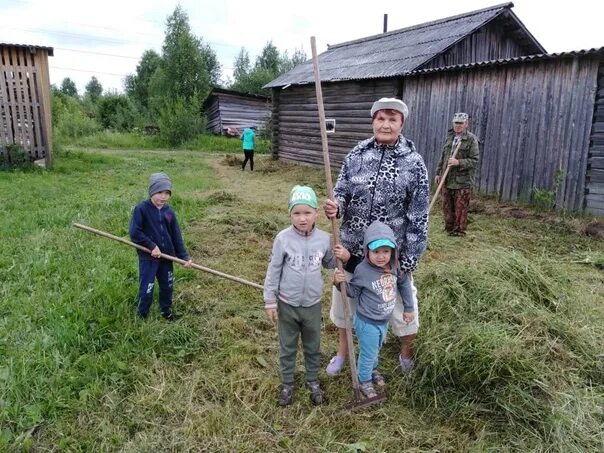 Ехай в деревню