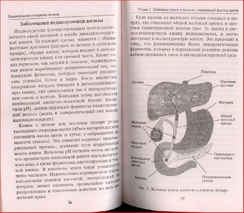 Очистка печени и желчевыводящих. Мориц книга о печени. Удивительное очищение печени Мориц. Очищение печени книга Мориц андреас. Андреас Мориц удивительное.