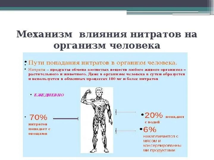 Нитриты опаснее. Воздействие нитратов на организм человека. Влияние нитратов на человека. Вредное воздействие нитратов на организм человека. Влияние нитритов на организм человека.