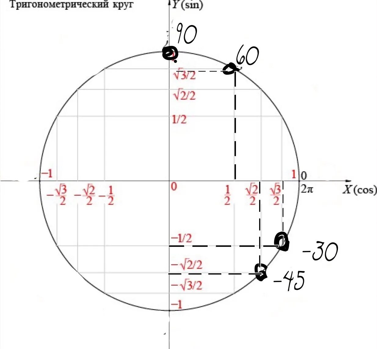 Точки тригонометрического круга. Тригонометрическая окружность. Тригонометрическая окр. Тригонометрическая окру. Тригонометрическая окружностт.