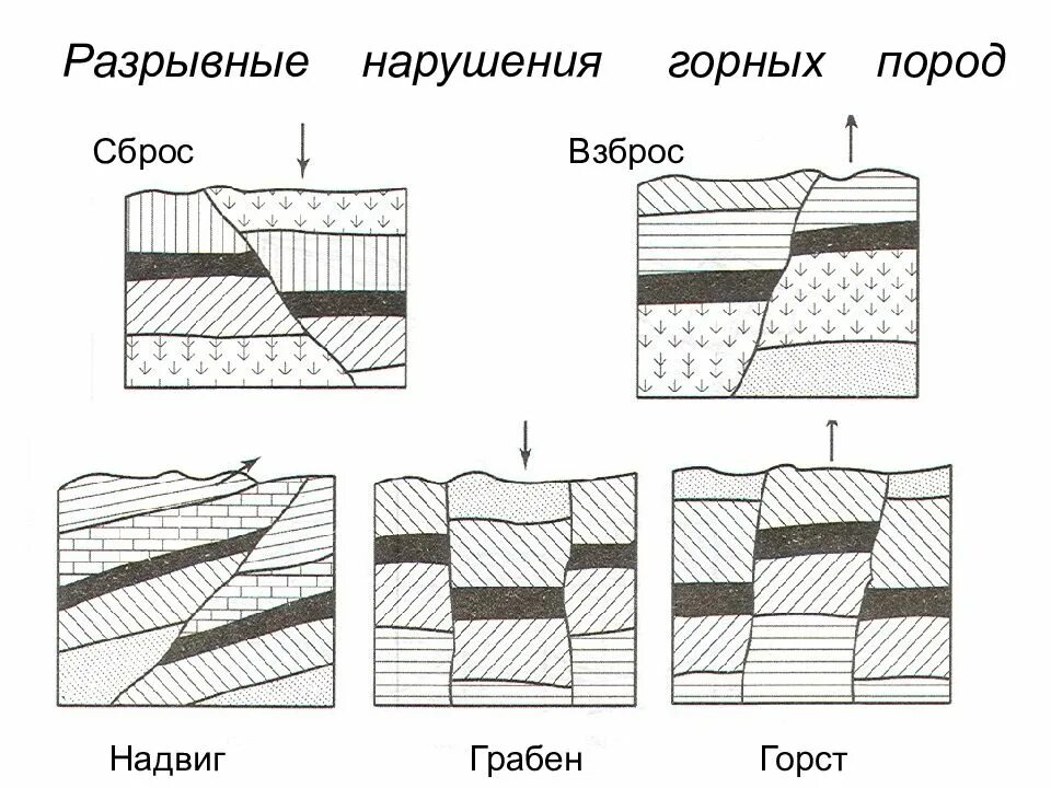 Разрывы со смещениями. Типы разрывных нарушений горных пород. Формы нарушенного залегания горных пород. Сброс взброс сдвиг надвиг. Горст Грабен взброс сброс.