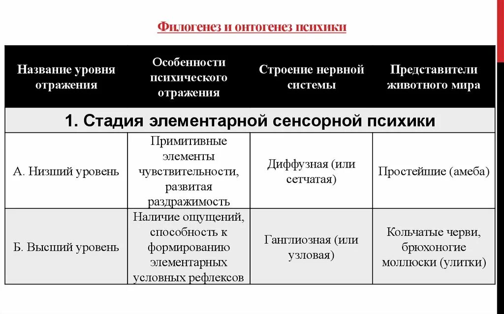 Этапы развития психики в филогенезе человека. Этапы онтогенеза психики человека. Филогенез это развитие. Этапы развития психики в филогенезе таблица. Концепция фабри