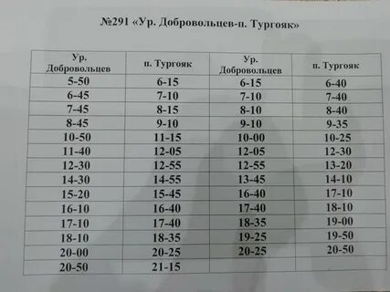 291 тургояк расписание