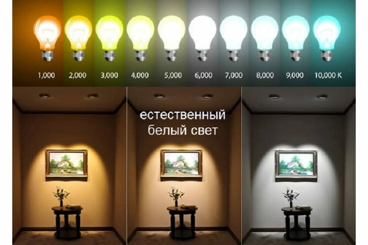 Теплый свет 3000к. Цвет освещения. Цвет свечения светодиодных ламп. Теплое и Холодное освещение.