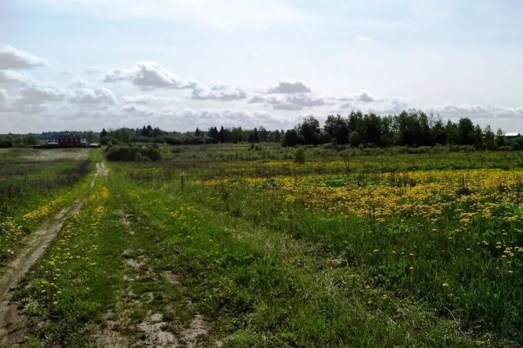 Старая руза (деревня). Погода марьино рузский. Погода марьино рузский. Погода марьино рузский. Кожино (посёлок, рузский городской округ).