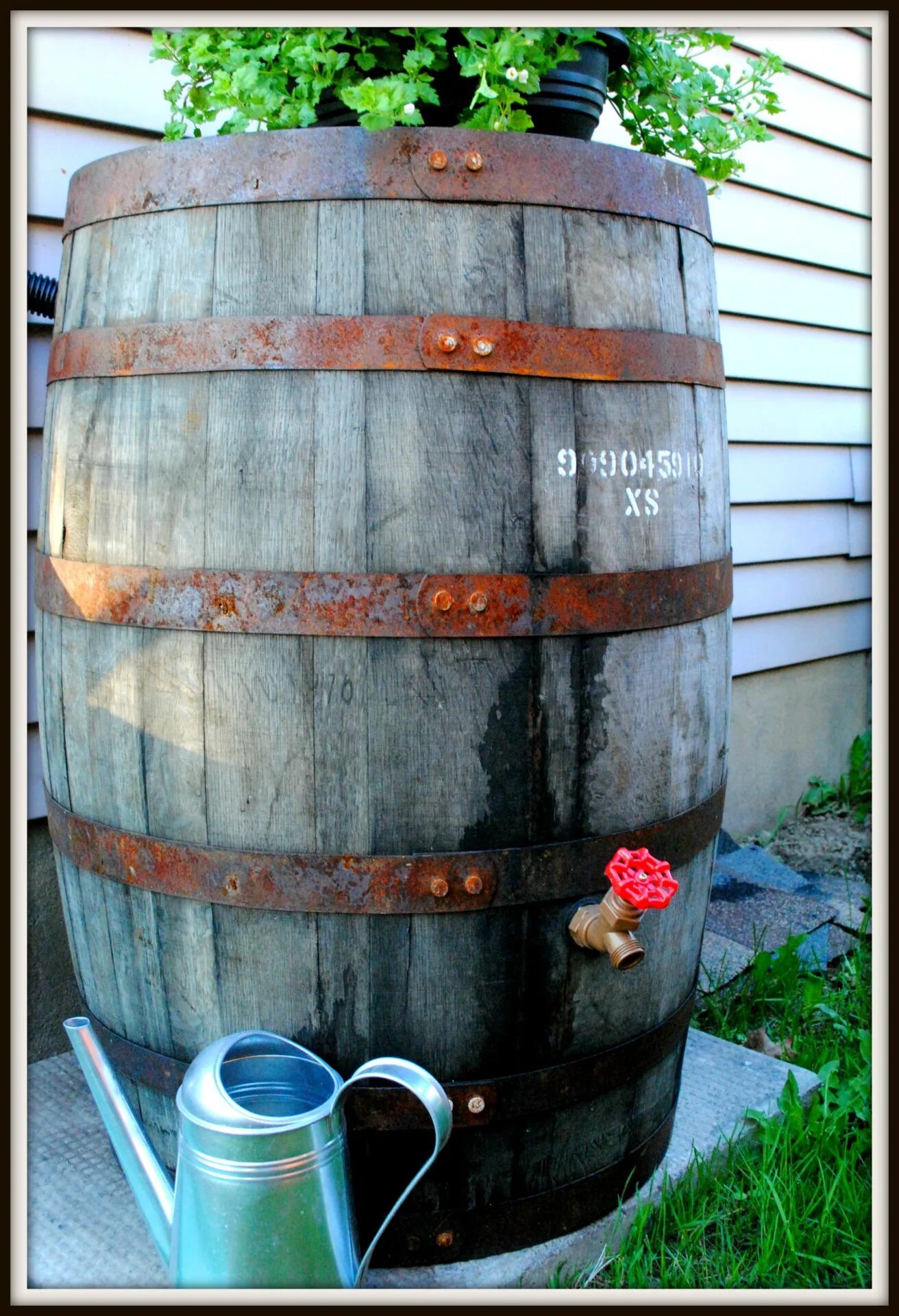 Бочку другую с водой. Rain Barrel бочка. Бочка для воды. Бочка в огороде. Кадушка с водой.