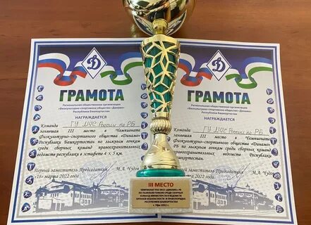 Физкультурно спортивное общество