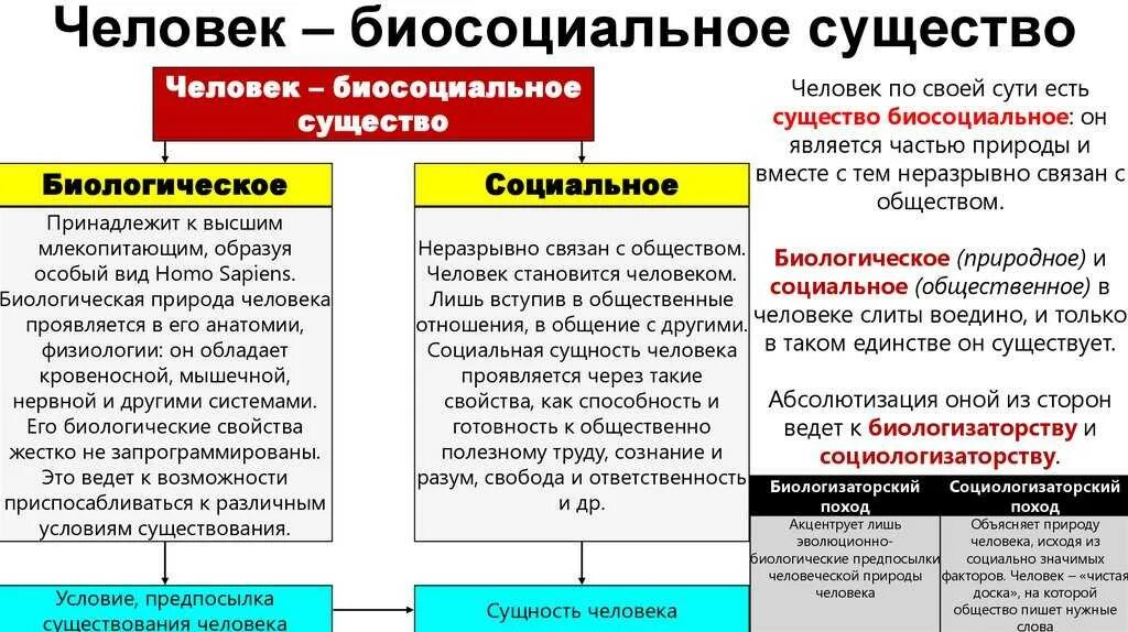 Чем выражается эволюционный характер общества. Природная и социальная сущность человека. Социальная природа человека это Обществознание. Особенности биосоциального человека. Человек биосоциальное существо.