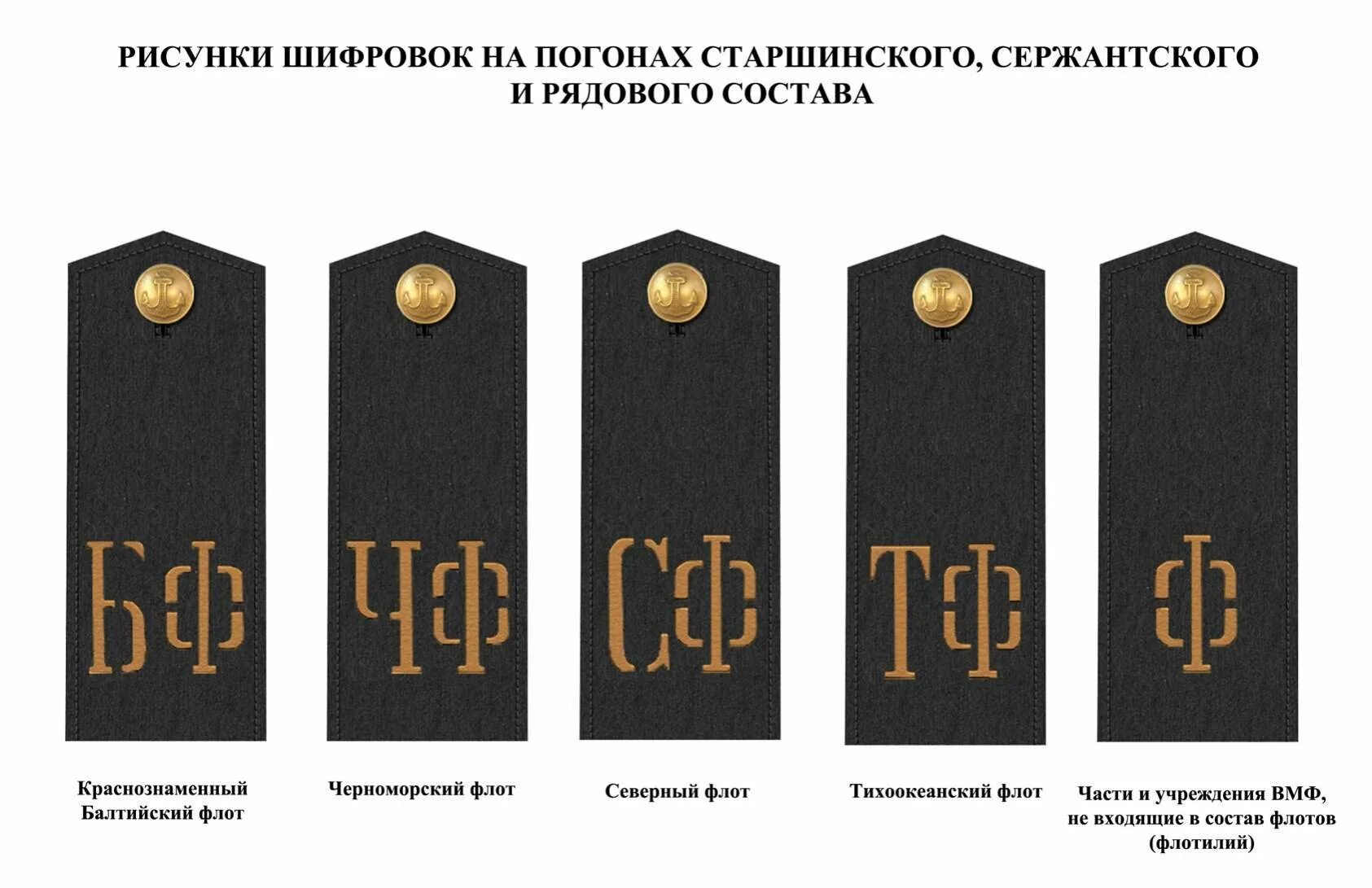 Состав матросов. Погоны старшины ВМФ. Погоны сержанта ВМФ.