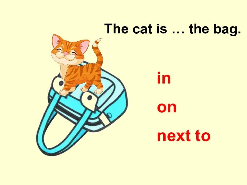 On in under next to. Предлоги in on under. кошки англ яз. cat on предлог. prepositions of place in on under.