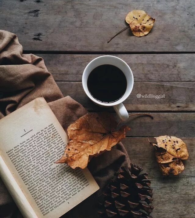 Kaffee und ein gutes Buch - was auch sonst?! Coffee photography, Coffee and book