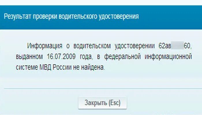 Проголосовать по водительскому удостоверению. Сервис проверки водительского удостоверения. Проверка водительского удостоверения по базе ГИБДД С ограничением.