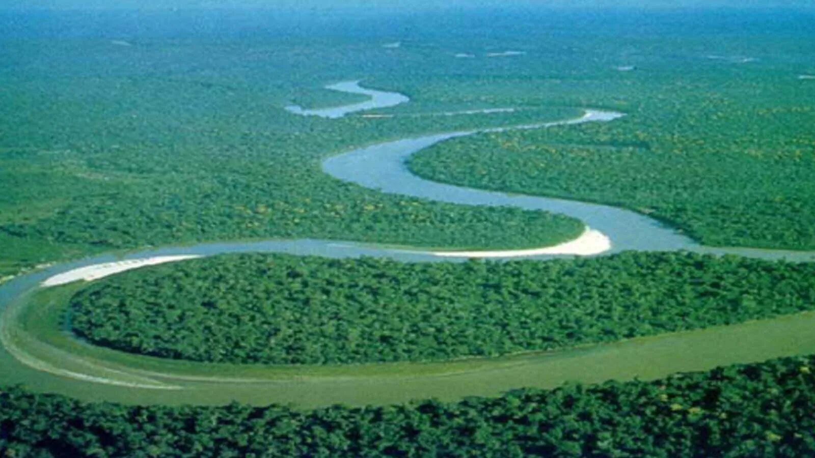Амазонская низменность. Южная Америка река Амазонка. Река Амазонка самая полноводная река в мире. Южная Америка Амазонская низменность.