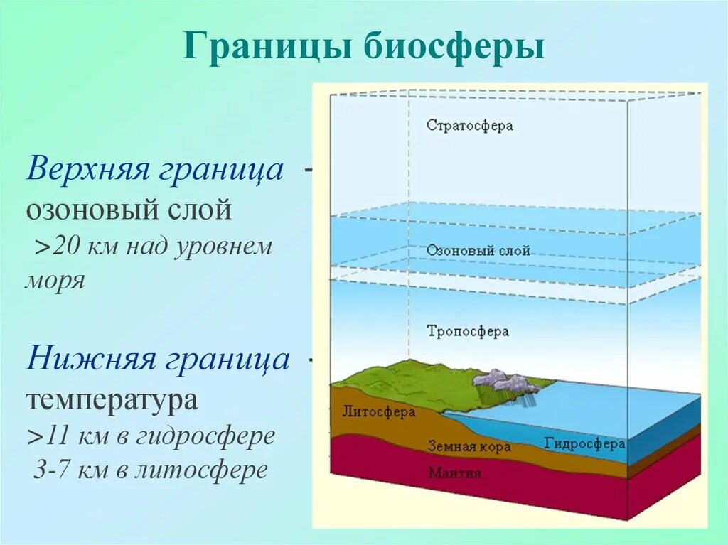 Гидросфера это оболочка земли ответ. Границы биосферы атмосфера гидросфера литосфера. Биосфера атмосфера гидросфера литосфера рисунок. Границы атмосферы литосферы гидросферы. Границы биосферы схема.