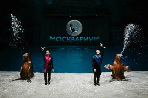 Океанариум шоу