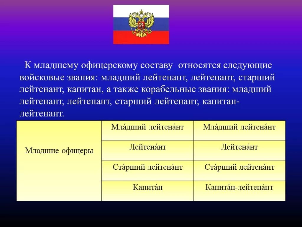 Кто относится к младшему офицерскому составу