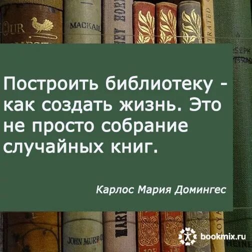Фразы о библиотеке и книгах. Слова великих библиотеках. Слова великих библиотеках. Красивые цитаты о книгах и библиотеке. Афоризмы о библиотеке.