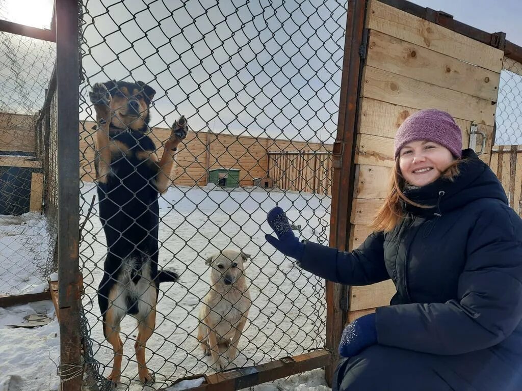 Приют человека отзывы. Еланлинский приют людей. Приют человека Казань. Проект приют человека Казань.