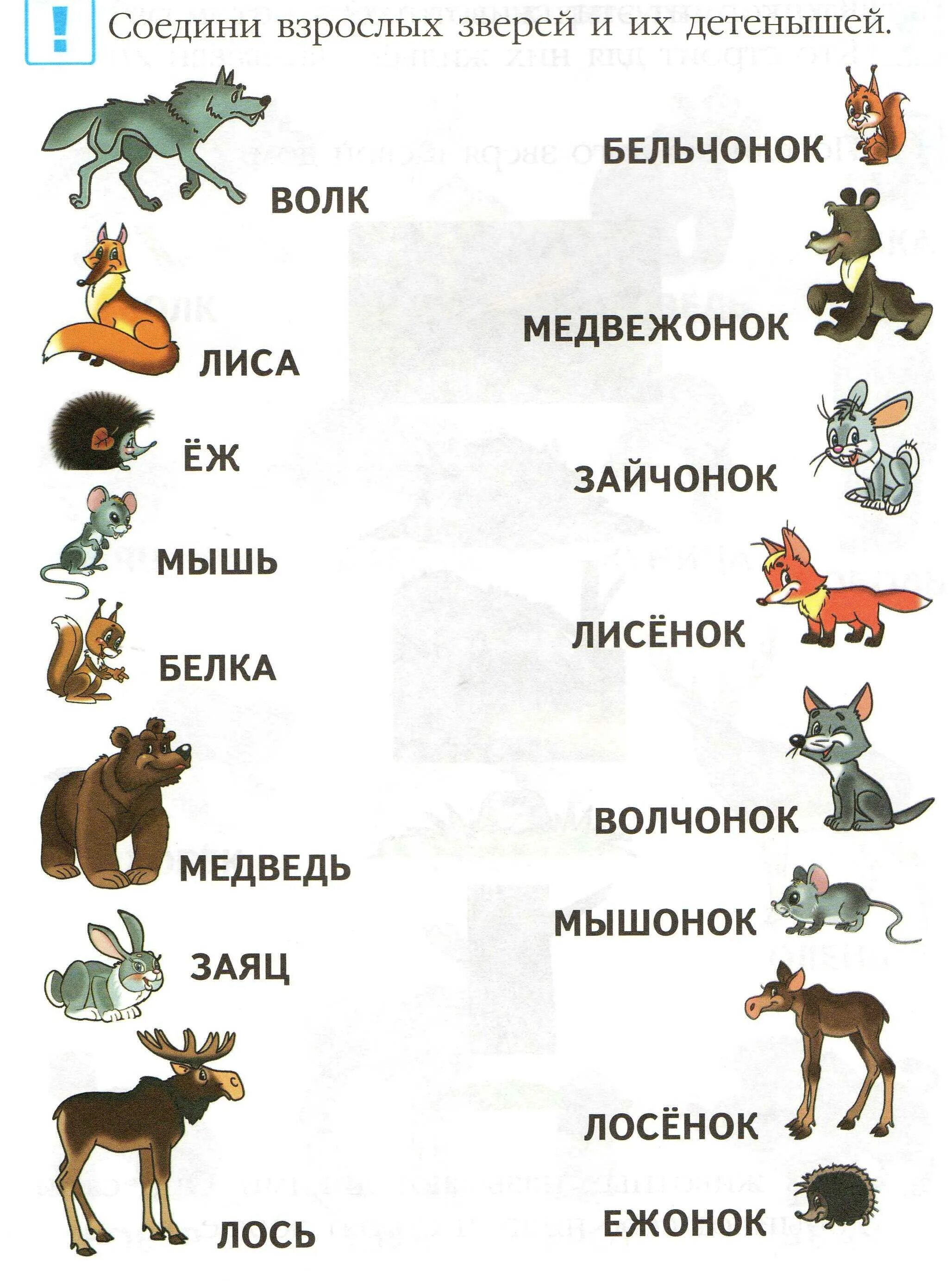 Заяц волк лиса это. Назови детенышей животных. Дети животных названия. Название детенышей животных для дошкольников. Дикие и домашние животные.