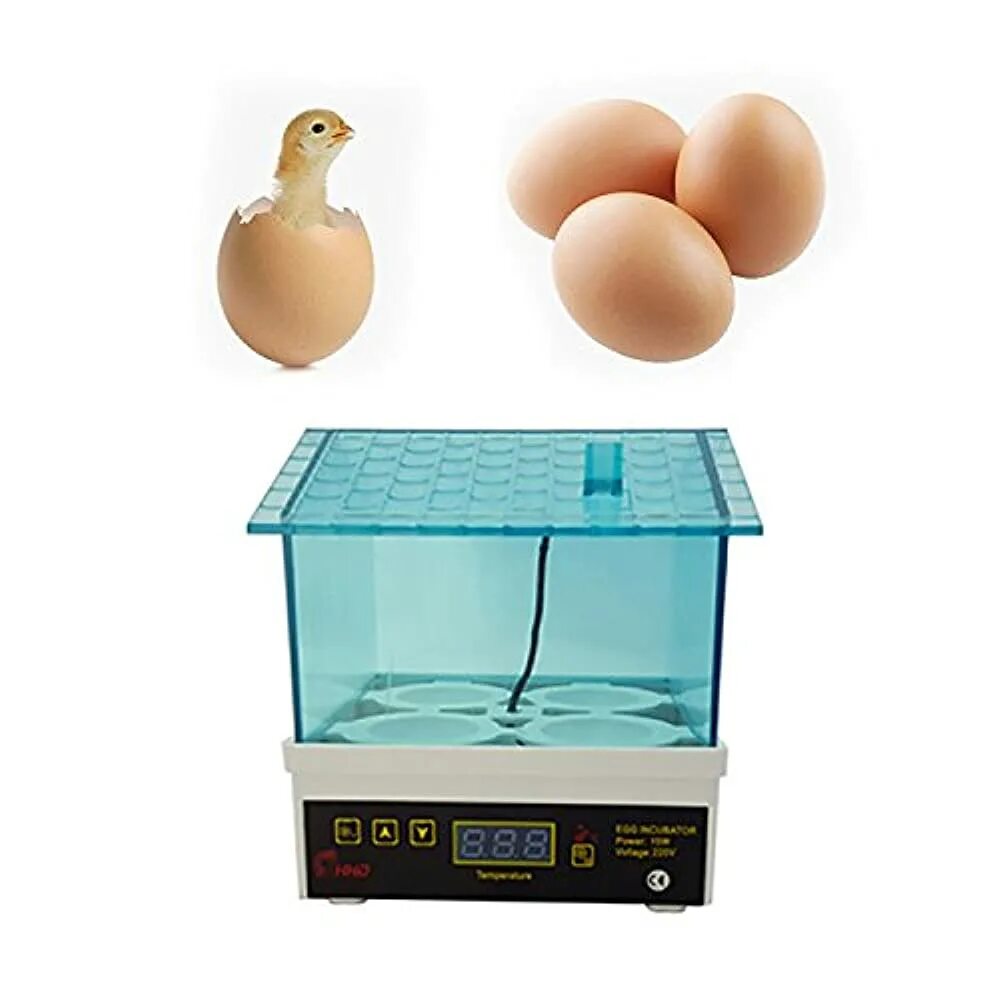 Household intelligent incubator инструкция. Инкубатор Egg incubator. Инкубатор мини-Брудер. Инкубатор для яиц на 64 яиц Smart household small incubator. Инкубаторы прозрачные.