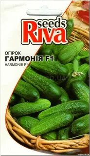 Сорт огурца гармония