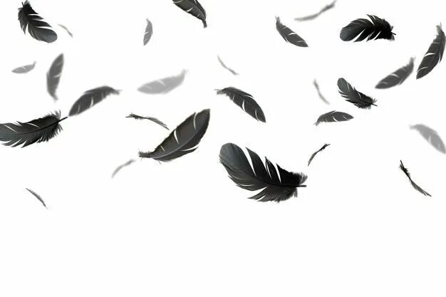 Flying feather