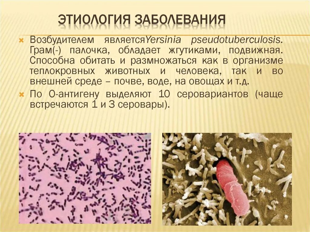 У ребенка сыпь на локтях и коленях: причины прыщиков и фото высыпаний с пояснени