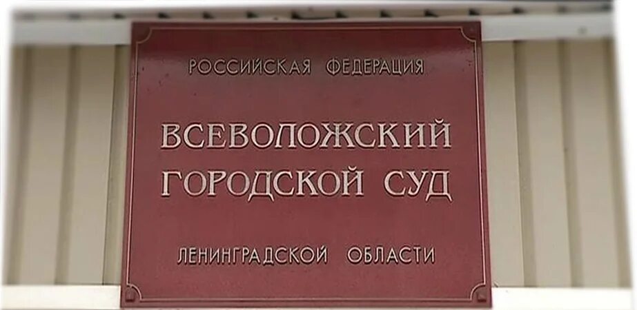 Всеволожский городской суд. Всеволожский районный суд. Всеволожский городской суд Ленинградской области. Всеволожский городской суд Ленинградской области Вахрушева. Сайт лужского городского суда ленинградской