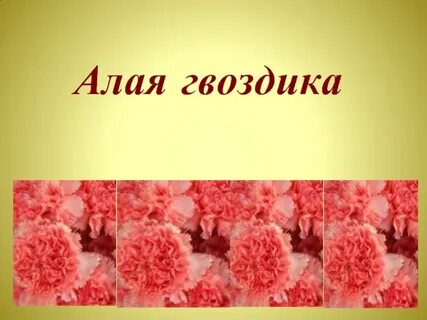 Песня алые гвоздики на снегу